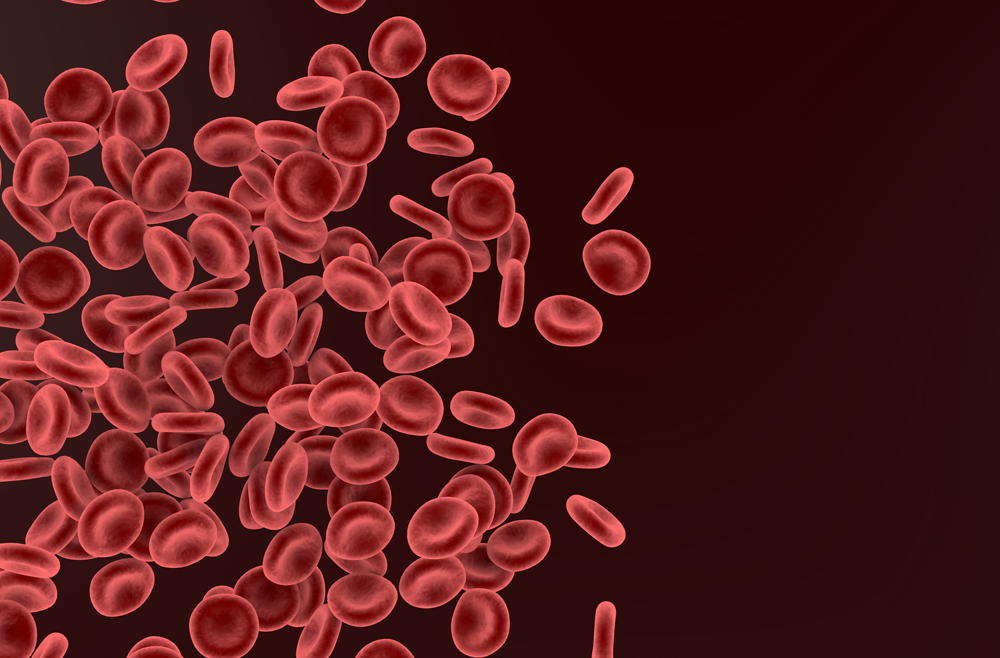 A digital illustration of red blood cells.